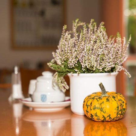 Gastehaus Olympia Reitanlage Munchen-Riem Bed and Breakfast Εξωτερικό φωτογραφία